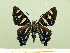  ( - HESP-EB 00 057)  @13 [ ] Copyright (2010) Unspecified Research Collection of Ernst Brockmann
