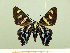  ( - HESP-EB 00 057)  @13 [ ] Copyright (2010) Unspecified Research Collection of Ernst Brockmann