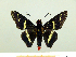  ( - HESP-EB 00 058)  @13 [ ] Copyright (2010) Unspecified Research Collection of Ernst Brockmann