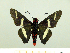  ( - HESP-EB 00 058)  @13 [ ] Copyright (2010) Unspecified Research Collection of Ernst Brockmann