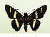  ( - HESP-EB 00 059)  @13 [ ] Copyright (2010) Unspecified Research Collection of Ernst Brockmann