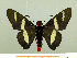  ( - HESP-EB 00 059)  @14 [ ] Copyright (2010) Unspecified Research Collection of Ernst Brockmann