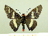  ( - HESP-EB 00 061)  @13 [ ] Copyright (2010) Unspecified Research Collection of Ernst Brockmann