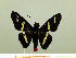  ( - HESP-EB 00 062)  @13 [ ] Copyright (2010) Unspecified Research Collection of Ernst Brockmann