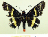  ( - HESP-EB 00 063)  @12 [ ] Copyright (2010) Unspecified Research Collection of Ernst Brockmann