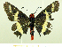  ( - HESP-EB 00 063)  @12 [ ] Copyright (2010) Unspecified Research Collection of Ernst Brockmann