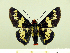  ( - HESP-EB 00 082)  @13 [ ] Copyright (2010) Unspecified Research Collection of Ernst Brockmann