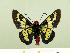  ( - HESP-EB 00 083)  @13 [ ] Copyright (2010) Unspecified Research Collection of Ernst Brockmann