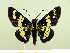  ( - HESP-EB 00 084)  @14 [ ] Copyright (2010) Unspecified Research Collection of Ernst Brockmann