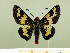  ( - HESP-EB 00 086)  @13 [ ] Copyright (2010) Unspecified Research Collection of Ernst Brockmann