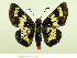  ( - HESP-EB 00 087)  @14 [ ] Copyright (2010) Unspecified Research Collection of Ernst Brockmann
