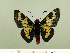  ( - HESP-EB 00 088)  @13 [ ] Copyright (2010) Unspecified Research Collection of Ernst Brockmann