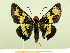  ( - HESP-EB 00 089)  @13 [ ] Copyright (2010) Unspecified Research Collection of Ernst Brockmann