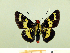  ( - HESP-EB 00 090)  @13 [ ] Copyright (2010) Unspecified Research Collection of Ernst Brockmann