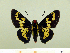  ( - HESP-EB 00 094)  @13 [ ] Copyright (2010) Unspecified Research Collection of Ernst Brockmann