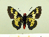  ( - HESP-EB 00 094)  @14 [ ] Copyright (2010) Unspecified Research Collection of Ernst Brockmann