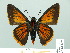  ( - HESP-EB 01 007)  @14 [ ] Copyright (2010) Unspecified Research Collection of Ernst Brockmann
