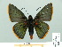  ( - HESP-EB 01 012)  @13 [ ] Copyright (2010) Unspecified Research Collection of Ernst Brockmann