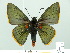  ( - HESP-EB 01 014)  @13 [ ] Copyright (2010) Unspecified Research Collection of Ernst Brockmann