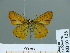 ( - HESP-EB 01 126)  @13 [ ] Copyright (2010) Unspecified Research Collection of Ernst Brockmann