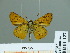  ( - HESP-EB 01 127)  @14 [ ] Copyright (2010) Unspecified Research Collection of Ernst Brockmann
