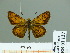  ( - HESP-EB 01 127)  @14 [ ] Copyright (2010) Unspecified Research Collection of Ernst Brockmann