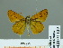  ( - HESP-EB 01 129)  @11 [ ] Copyright (2010) Unspecified Research Collection of Ernst Brockmann