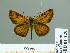  ( - HESP-EB 01 129)  @11 [ ] Copyright (2010) Unspecified Research Collection of Ernst Brockmann
