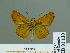  ( - HESP-EB 01 130)  @14 [ ] Copyright (2010) Unspecified Research Collection of Ernst Brockmann