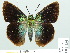  ( - HESP-EB 01 154)  @11 [ ] Copyright (2010) Unspecified Research Collection of Ernst Brockmann