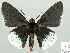  ( - HESP-EB 01 158)  @13 [ ] Copyright (2010) Unspecified Research Collection of Ernst Brockmann