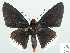  ( - HESP-EB 01 158)  @13 [ ] Copyright (2010) Unspecified Research Collection of Ernst Brockmann