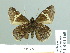  ( - HESP-EB 01 165)  @13 [ ] Copyright (2010) Unspecified Research Collection of Ernst Brockmann