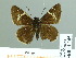  ( - HESP-EB 01 165)  @13 [ ] Copyright (2010) Unspecified Research Collection of Ernst Brockmann