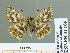  ( - HESP-EB 01 166)  @14 [ ] Copyright (2010) Unspecified Research Collection of Ernst Brockmann
