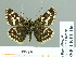 ( - HESP-EB 01 166)  @14 [ ] Copyright (2010) Unspecified Research Collection of Ernst Brockmann