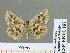  ( - HESP-EB 01 167)  @11 [ ] Copyright (2010) Unspecified Research Collection of Ernst Brockmann