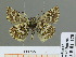  ( - HESP-EB 01 178)  @13 [ ] Copyright (2010) Unspecified Research Collection of Ernst Brockmann