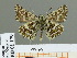  ( - HESP-EB 01 179)  @13 [ ] Copyright (2010) Unspecified Research Collection of Ernst Brockmann