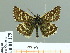 ( - HESP-EB 01 179)  @14 [ ] Copyright (2010) Unspecified Research Collection of Ernst Brockmann
