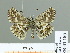  ( - HESP-EB 01 180)  @13 [ ] Copyright (2010) Unspecified Research Collection of Ernst Brockmann