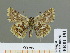  ( - HESP-EB 01 181)  @14 [ ] Copyright (2010) Unspecified Research Collection of Ernst Brockmann