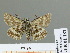  ( - HESP-EB 01 182)  @13 [ ] Copyright (2010) Unspecified Research Collection of Ernst Brockmann
