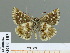  ( - HESP-EB 01 183)  @13 [ ] Copyright (2010) Unspecified Research Collection of Ernst Brockmann