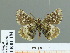  ( - HESP-EB 01 184)  @13 [ ] Copyright (2010) Unspecified Research Collection of Ernst Brockmann