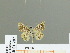  ( - HESP-EB 01 207)  @13 [ ] Copyright (2010) Unspecified Research Collection of Ernst Brockmann
