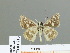  ( - HESP-EB 01 213)  @13 [ ] Copyright (2010) Unspecified Research Collection of Ernst Brockmann