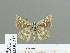  ( - HESP-EB 01 215)  @13 [ ] Copyright (2010) Unspecified Research Collection of Ernst Brockmann