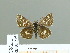  ( - HESP-EB 01 215)  @14 [ ] Copyright (2010) Unspecified Research Collection of Ernst Brockmann