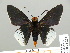  ( - HESP-EB 01 252)  @14 [ ] Copyright (2010) Unspecified Research Collection of Ernst Brockmann